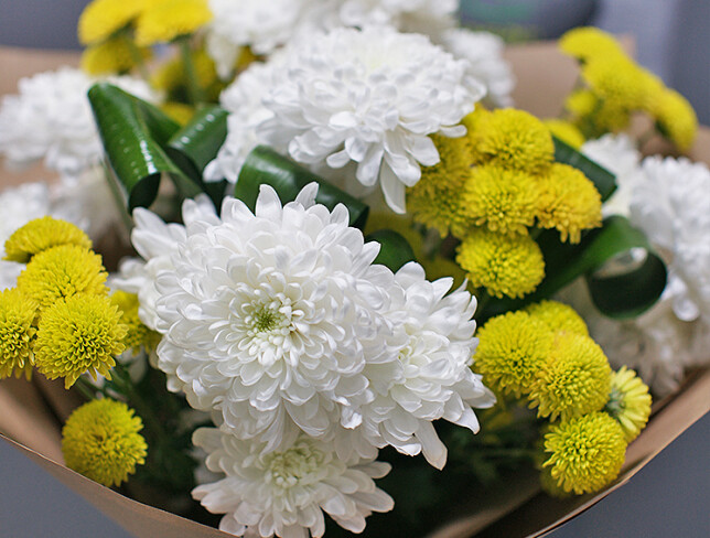 Bouquet of chrysanthemums 'White Symphony' photo